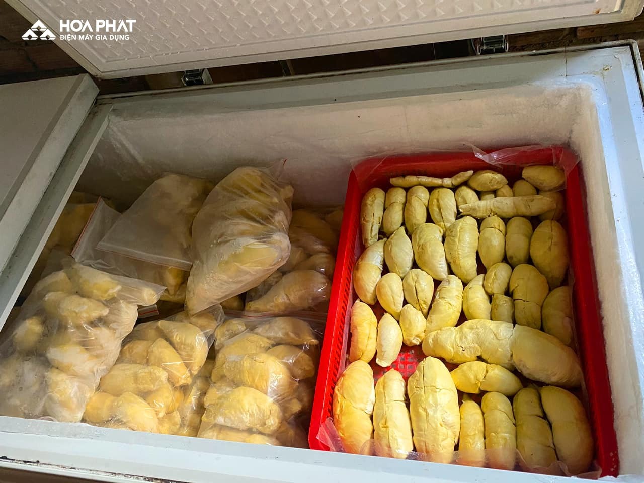 457180736-1002073648382974-6281833949915801526-n-1