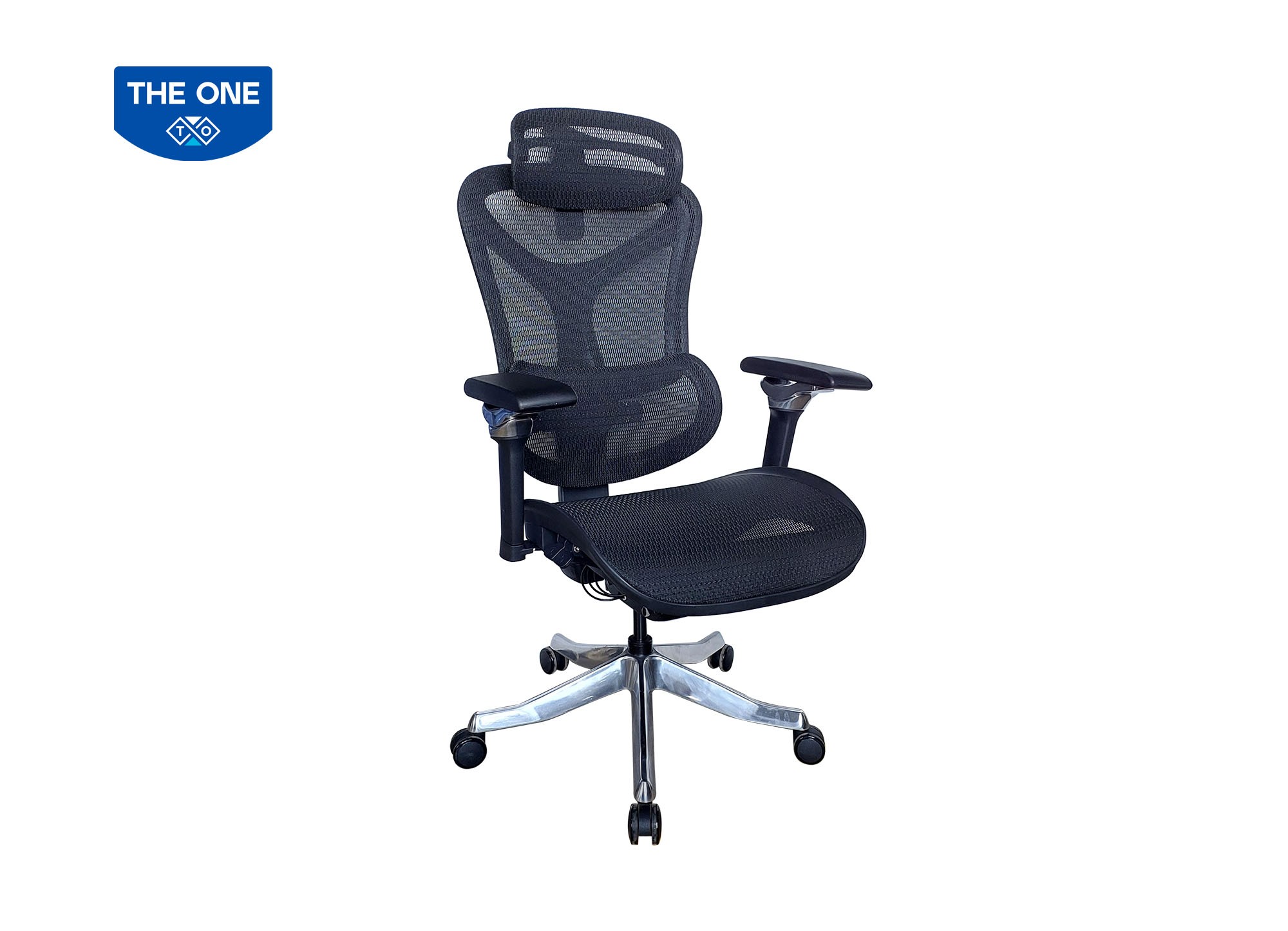 GHẾ CÔNG THÁI HỌC THE ONE 
GLE16