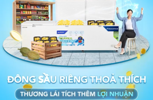 SẦU RIÊNG VÀO MÙA VỤ - TỦ ĐÔNG HÒA PHÁT TỤ HỘI TẠI VƯỜN CÙNG THƯƠNG LÁI