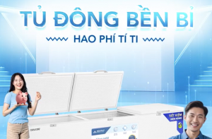 TỦ ĐÔNG BỀN BỈ - HAO PHÍ TÍ TI