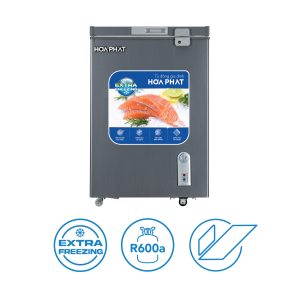 Tủ đông mini Hòa Phát HPF AD6107G 107 lít