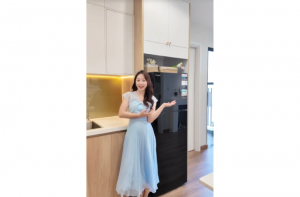 HR T8286GB 286 lít - Tủ lạnh chuẩn gu cho căn bếp gia đình mình! ?