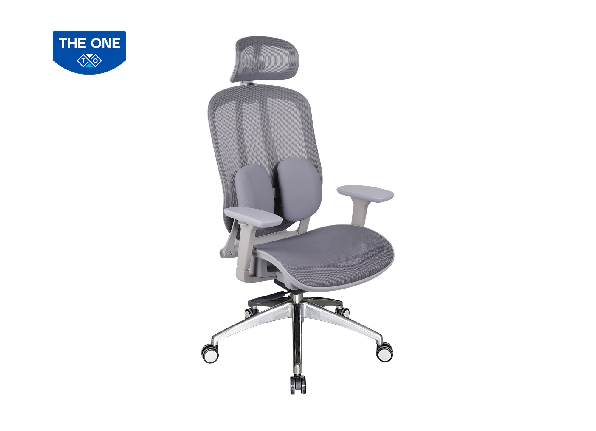 GHẾ CÔNG THÁI HỌC THE ONE 
GLE04-1