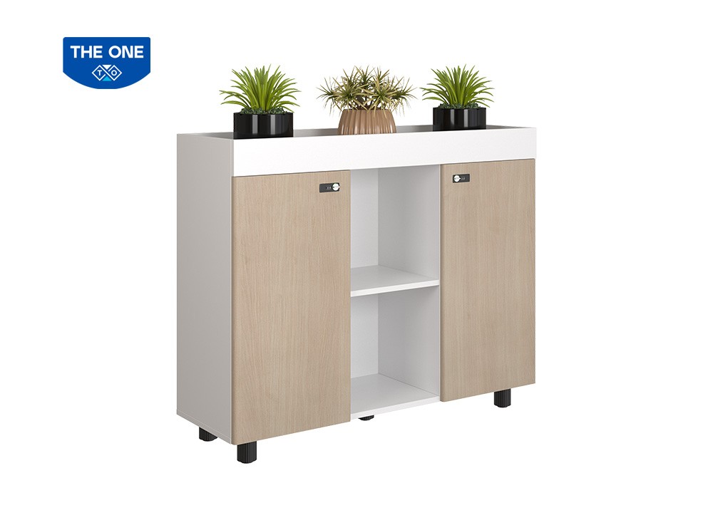 TỦ TÀI LIỆU NTV THE ONE NTV1000-3T2