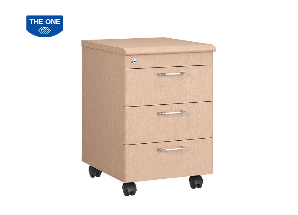 HỘC BÀN LÀM VIỆC THE ONE NTM3D