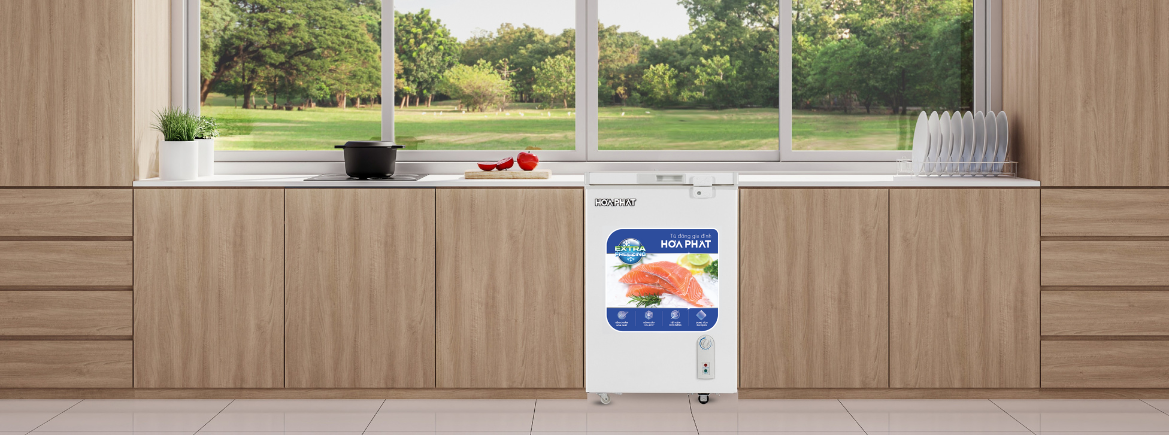 Tủ đông mini Hòa Phát HPF AD6107 107L