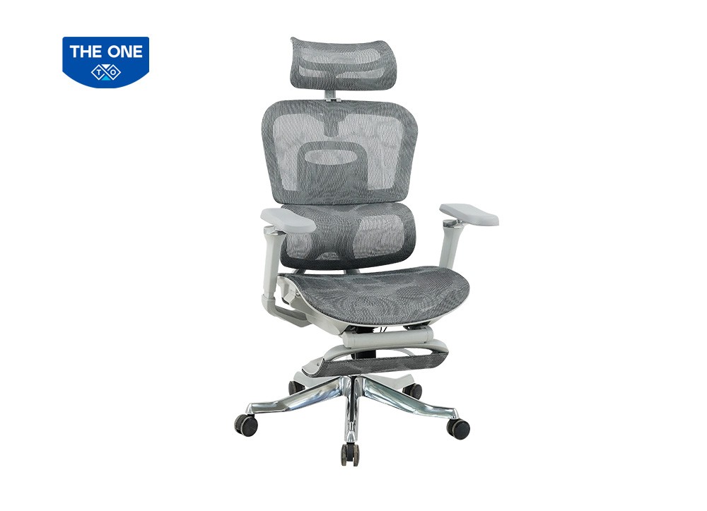 GHẾ CÔNG THÁI HỌC THE ONE 
GLE22