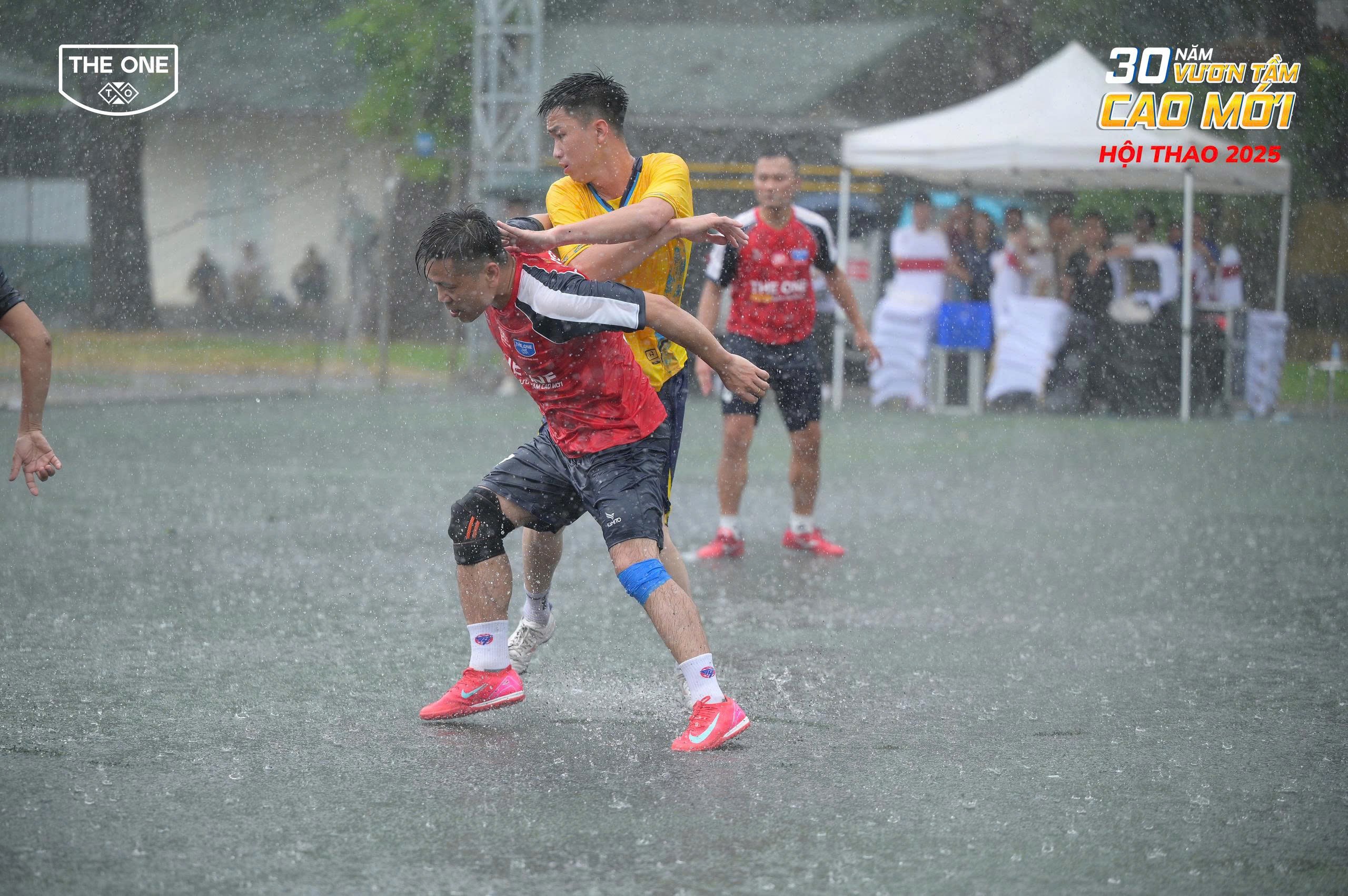 z6733149415667-049db0fce8651a0e390f839d6357d716