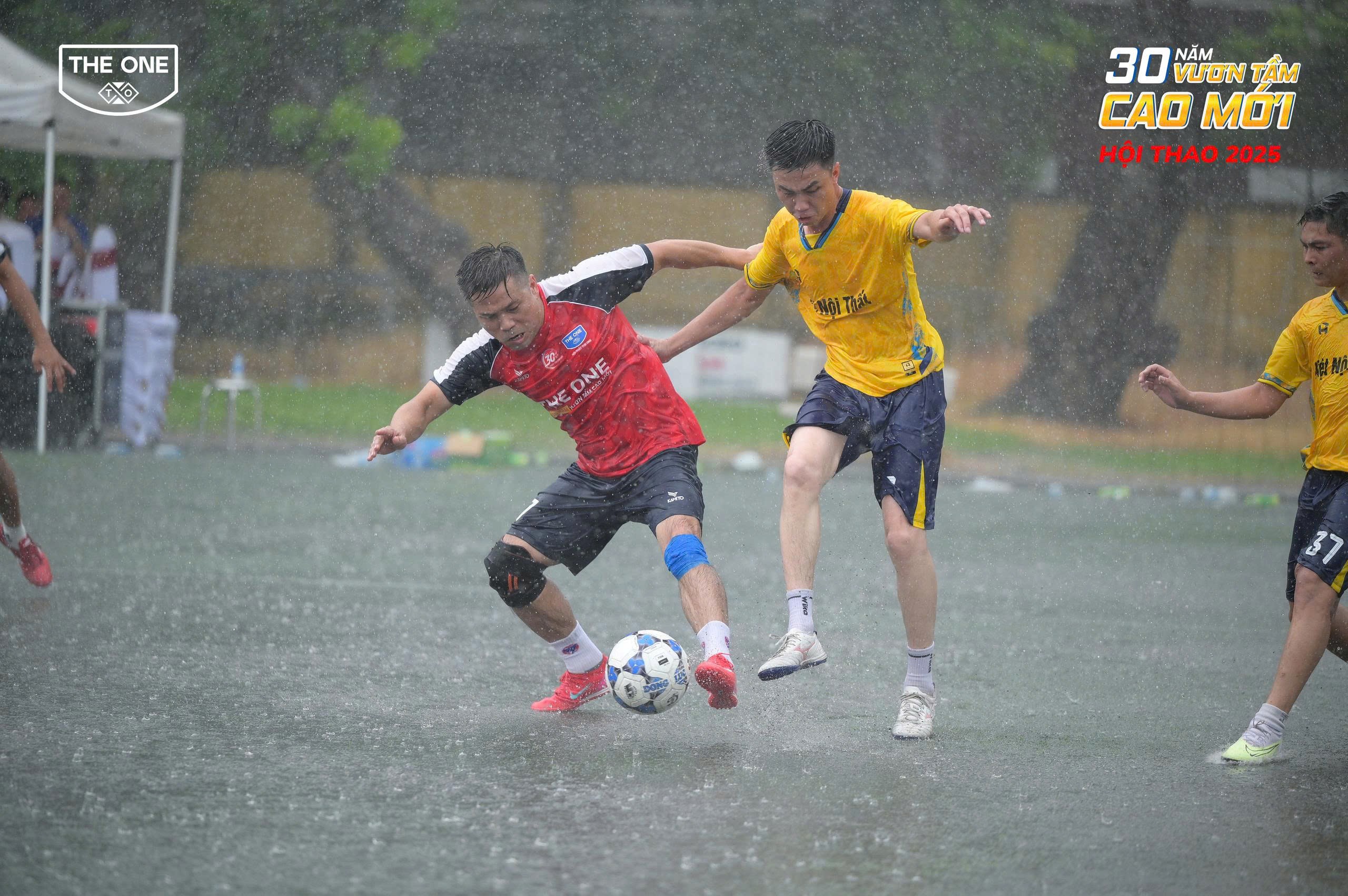 z6733149600073-312fdbb3a2e889d0abd47ba4ffd47203