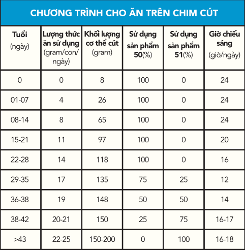 cha-n-nuo-i-chim-cu-t-de-2