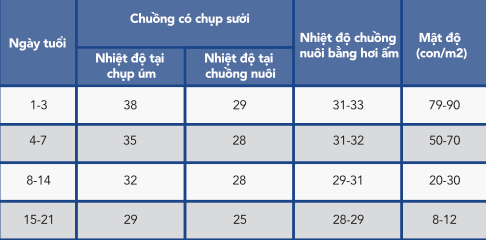 cha-n-nuo-i-ga-thi-t-1