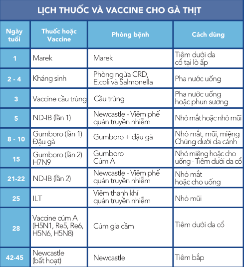 cha-n-nuo-i-ga-thi-t-2