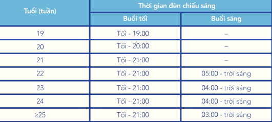 cha-n-nuo-i-vi-t-de-1