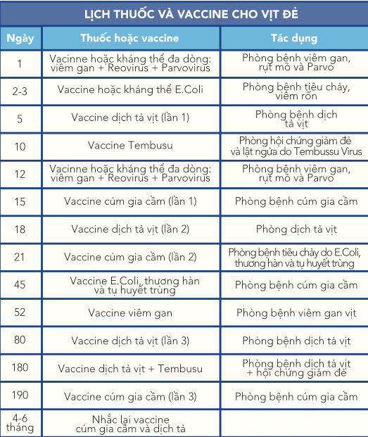 cha-n-nuo-i-vi-t-de-2