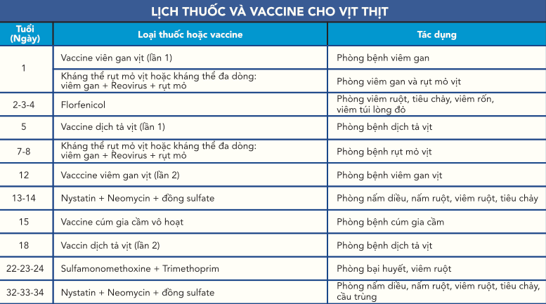 cha-n-nuo-i-vi-t-thi-t-2