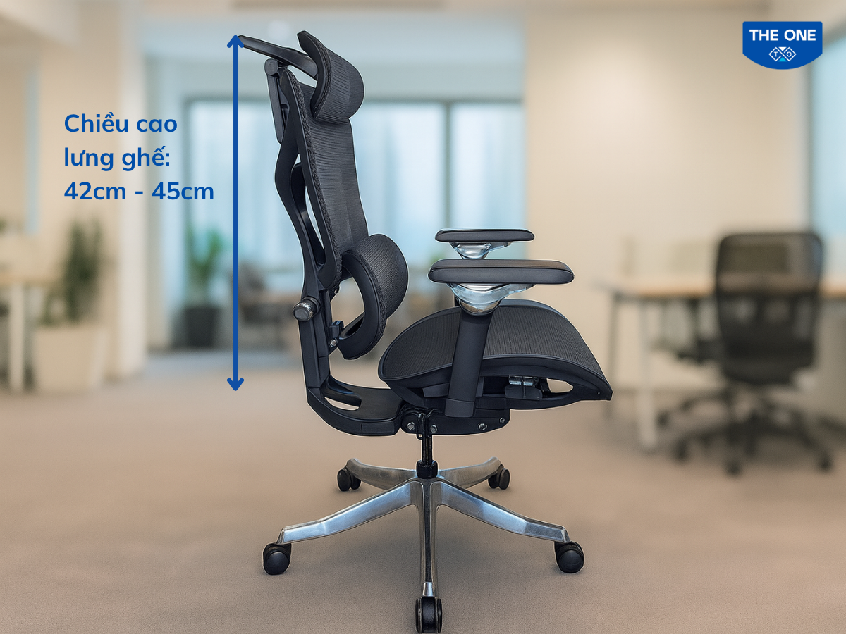 Chiều cao tiêu chuẩn của ghế công thái học lưng cao phù hợp với người Việt