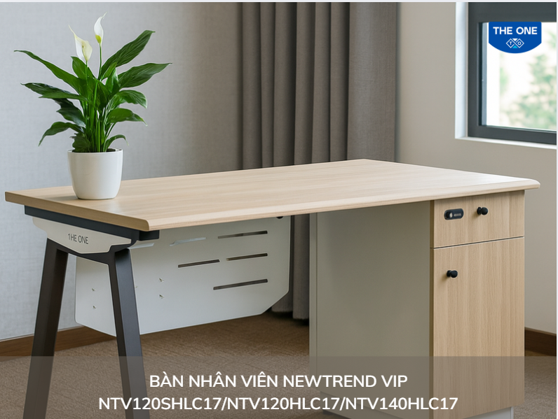 Cây lan ý là biểu tượng của sự thanh lọc, mang lại bình an và cân bằng năng lượng cho căn phòng