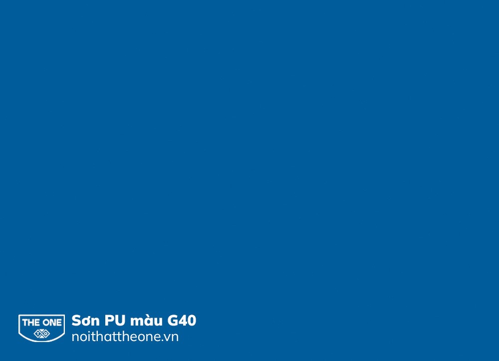 SƠN PU MÀU BỆT THE ONE