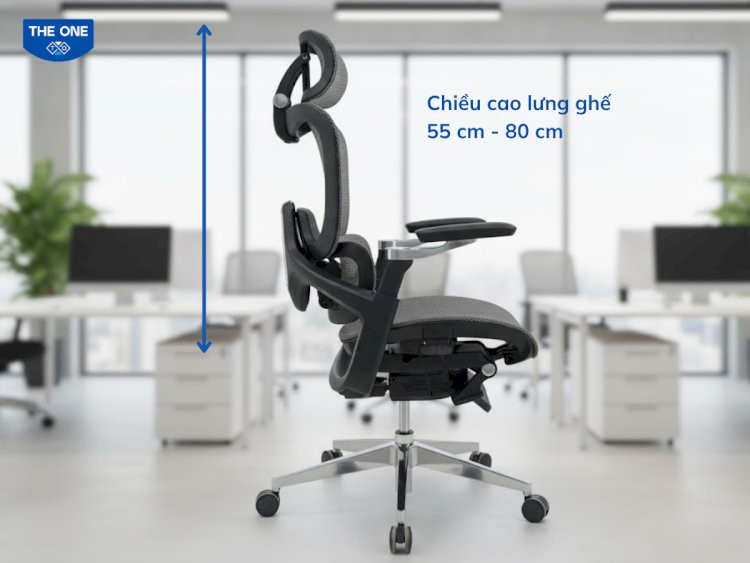 Chiều cao tựa lưng ghế thường dao động từ 55cm - 80cm nhằm nâng đỡ toàn bộ cột sống