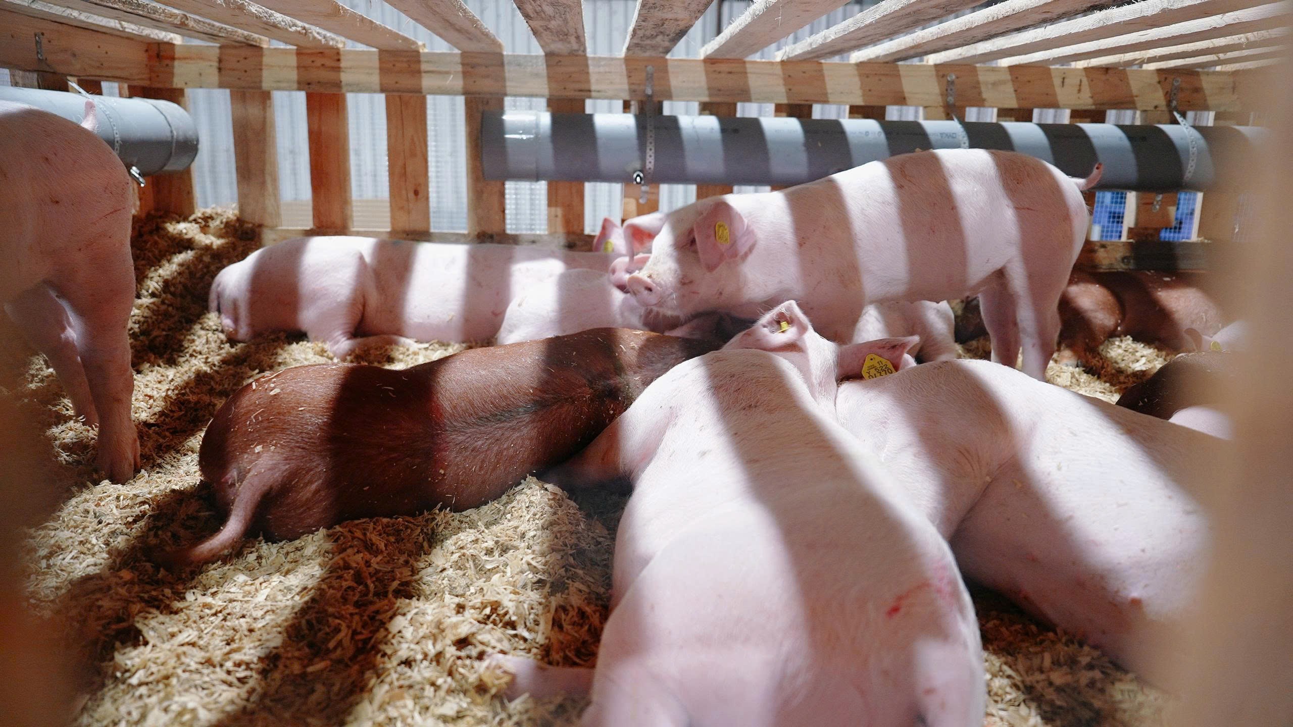 z7231951993349-0250b2b0902127ceb87c061e70859388