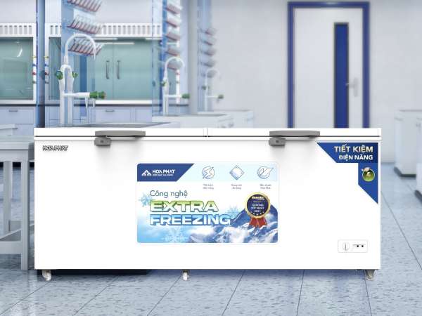 3 mẫu tủ đông bền bỉ, đông sâu dành riêng hộ kinh doanh