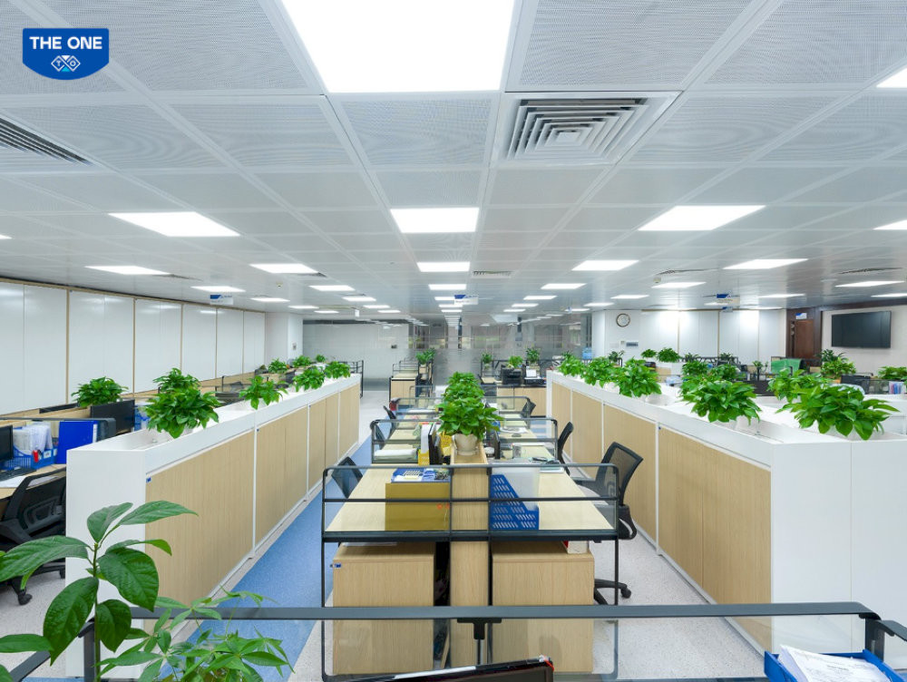 phong-thuy-van-phong-xanh-1-phong-thuy-van-phong-xanh-la-gi-loi-ich-cua-phong-thuy-van-phong-xanh-01