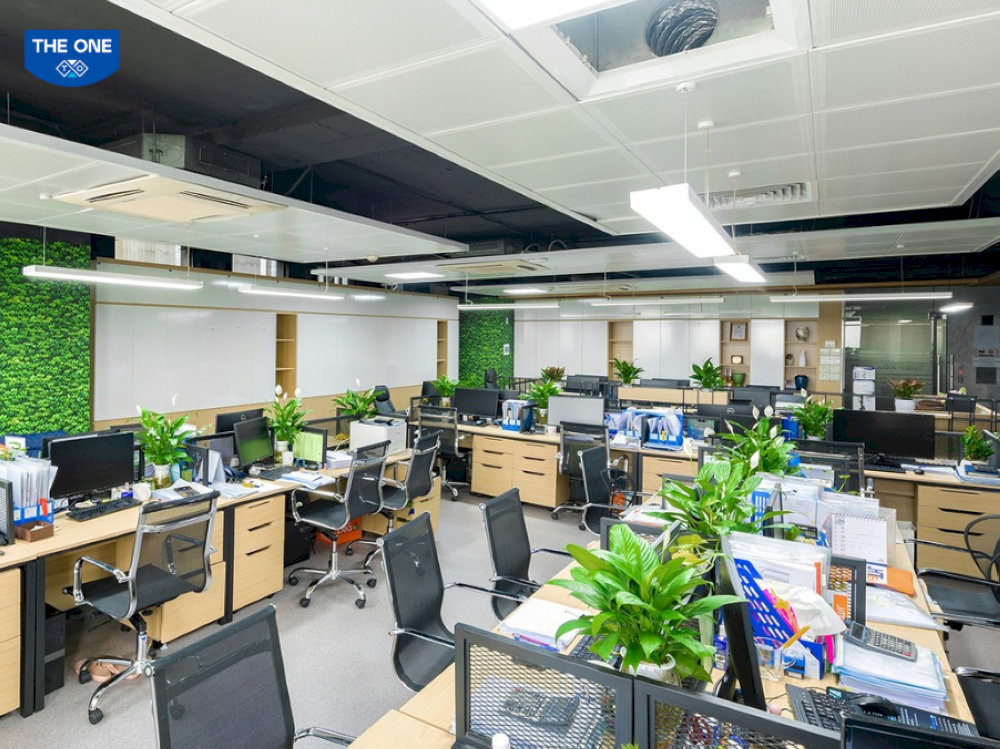 phong-thuy-van-phong-xanh-3-2-nhom-2-hoa-sat-thanh-loc-bao-ve-suc-khoe-hoa-giai-khi-xau-08