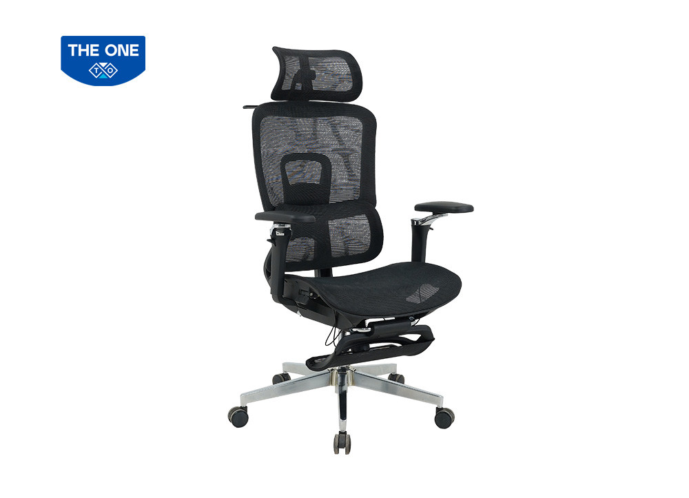 GHẾ CÔNG THÁI HỌC THE ONE 
GLE25