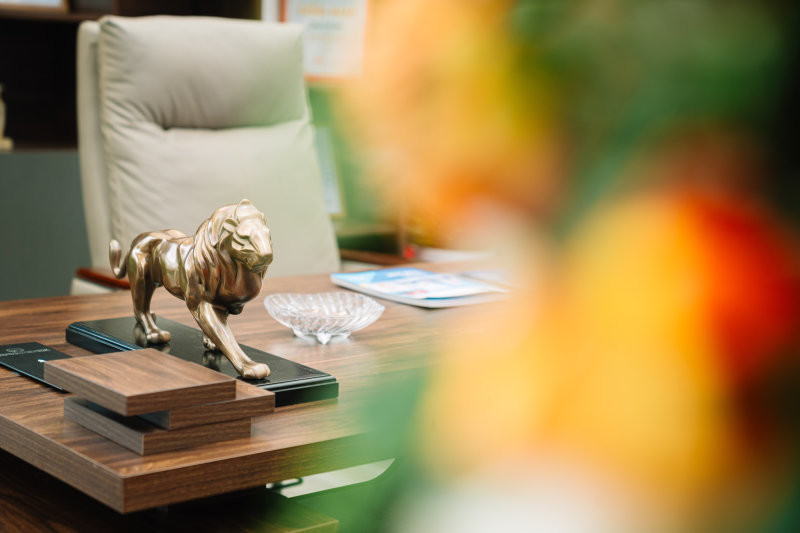 Năm 2026 là năm tuổi, Nhâm Ngọ nên treo một chiếc khánh bình an hoặc đặt kỳ lân để hóa giải sát khí