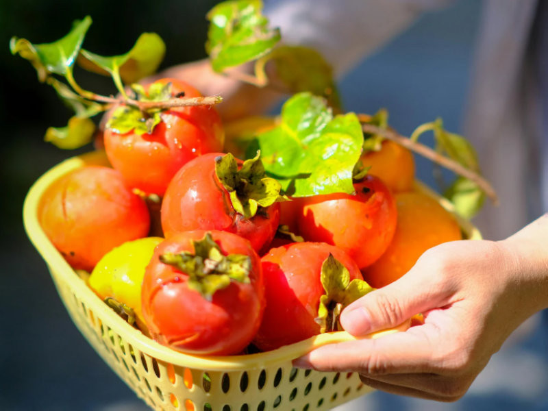 Màu đỏ của hồng mang lại vận may rực rỡ và sinh khí cho ngày khởi công. (Nguồn: Internet)