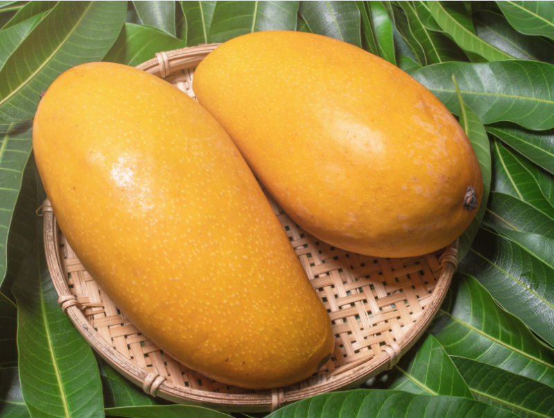 Xoài vàng mang ý nghĩa của sự dư dả về tài chính và của cải. (Nguồn: Internet)