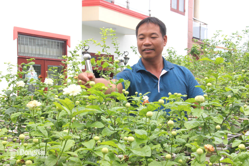 Hương thơm thanh khiết của Hoa Nhài giúp giảm căng thẳng và mang lại sự bình an. (Nguồn: Internet)