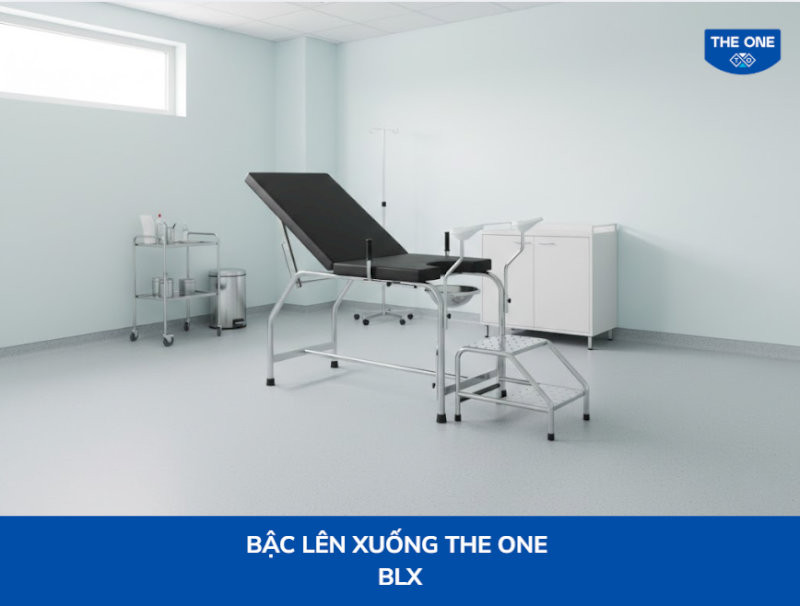 ghe-va-xe-day-noi-that-the-one-1-3-thiet-bi-ho-tro-08