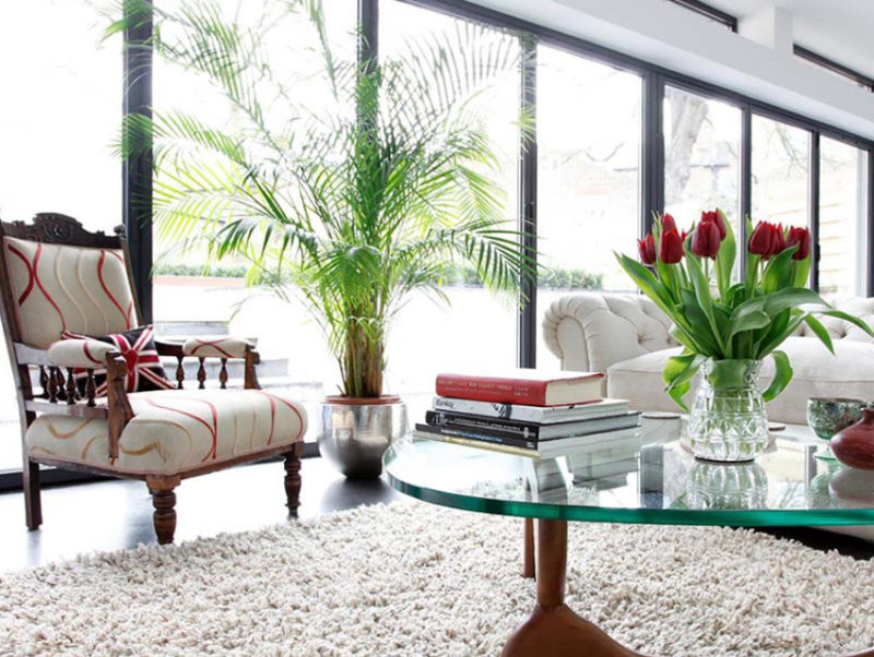 Cây xanh không chỉ lọc không khí mà còn hóa giải sát khí hiệu quả. (Nguồn: Internet)