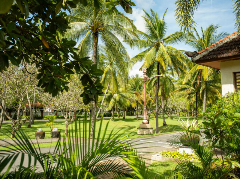 Hàng cây cau được trồng trước nhà để chặn khí xấu khi nhà gần các khu vực tâm linh. (Nguồn: Internet)