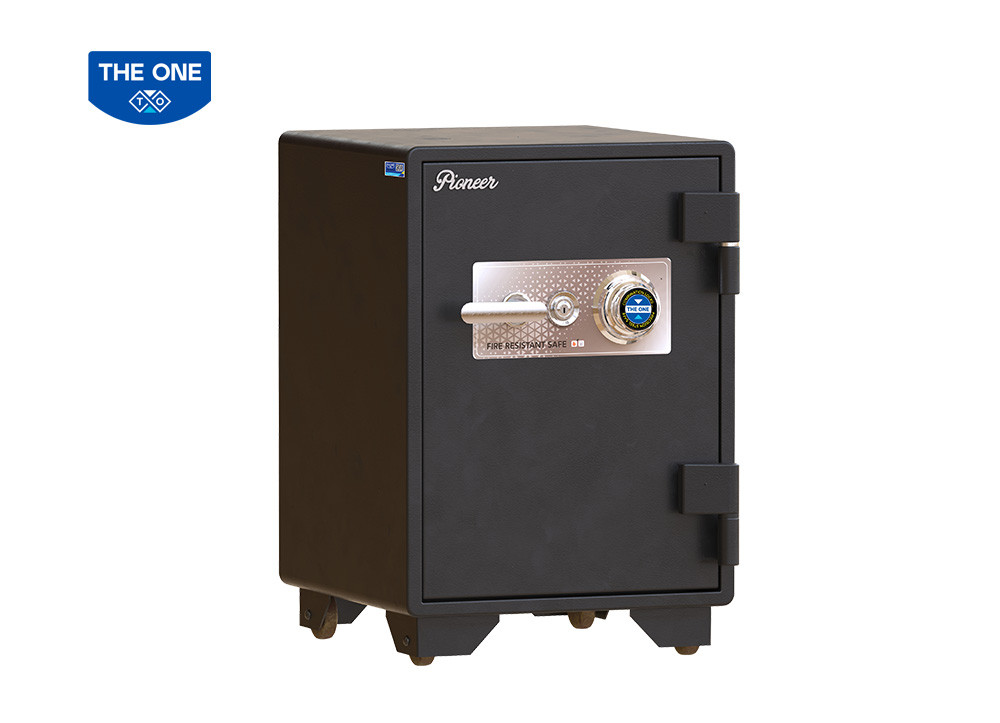 KÉT SẮT CAO CẤP PIONEER THE ONE 
PI116K1C1