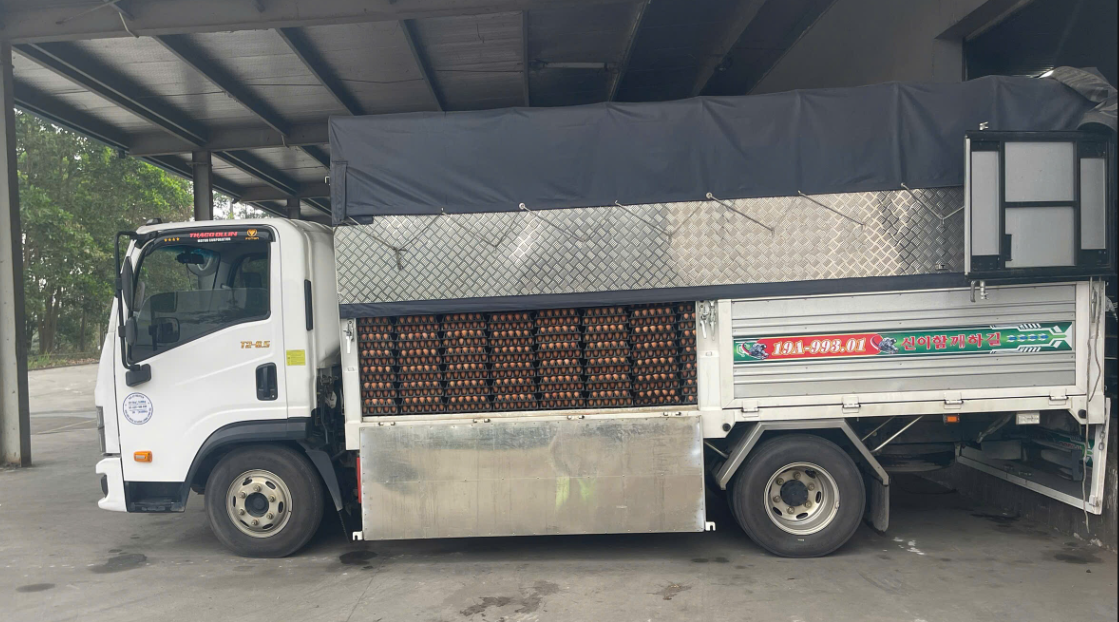 screenshot-1772079801