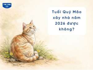 Tuổi Quý Mão làm nhà năm 2026 được không? Luận giải cụ thể