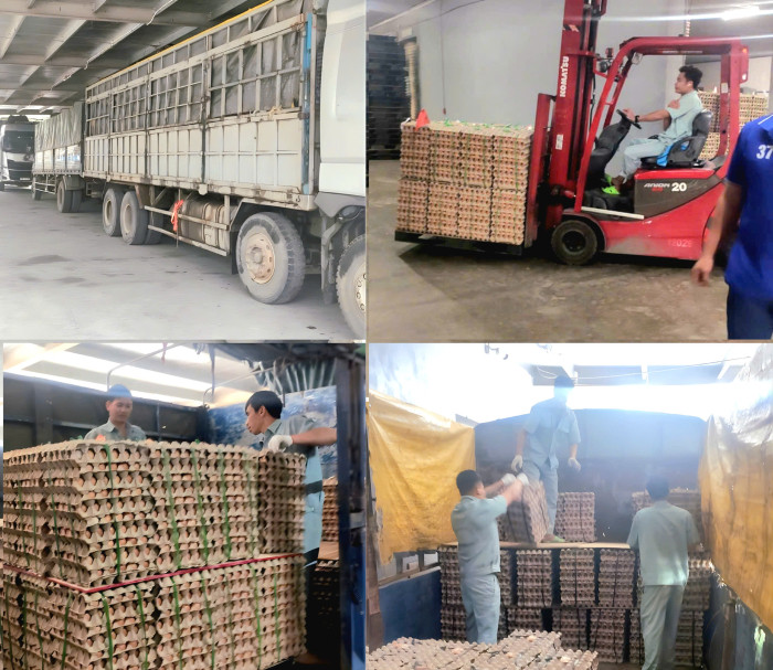 z7556379570382-c8c96a125ce8a5a5a4a8ee103a9f79a8