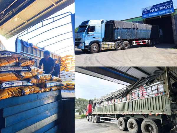 Nông nghiệp Hòa Phát phục vụ thị trường xuyên Tết