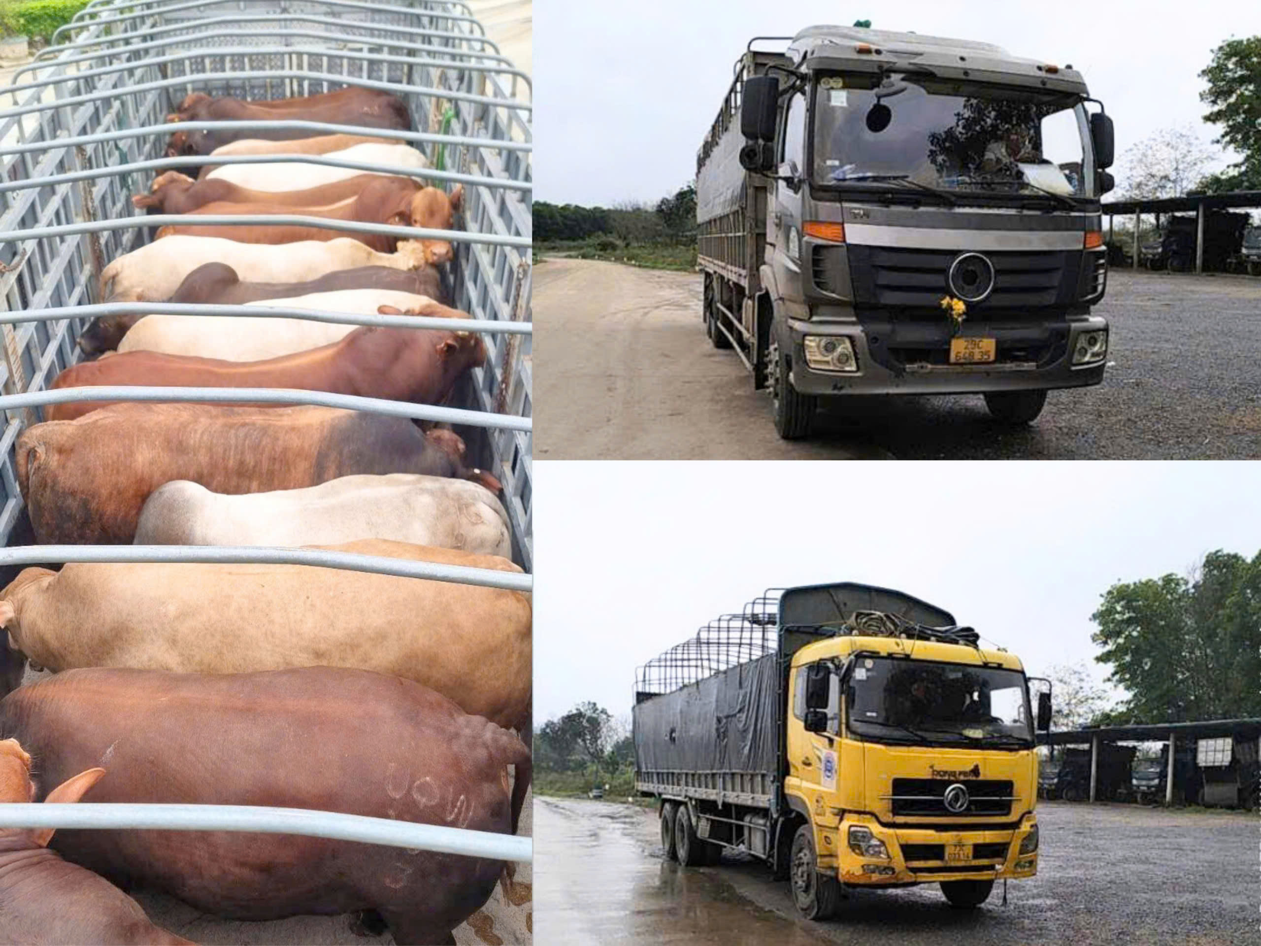 z7565594831516-bdf55c193ebca00acd265b32e082baa8