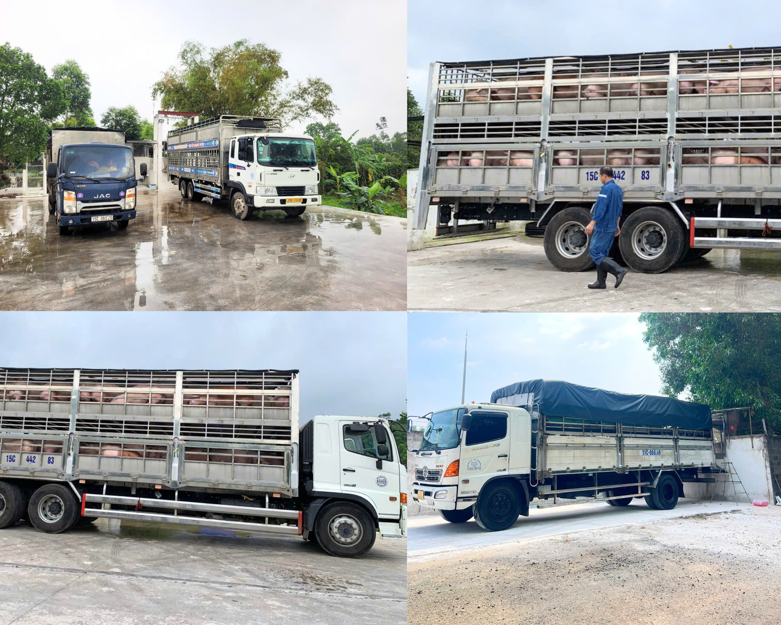 z7565683751831-fdb386d98aa05bddc2184a77dbd35823