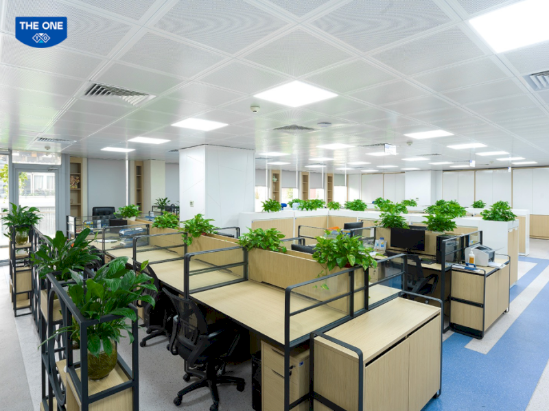 Tận dụng ánh sáng tự nhiên và cây xanh là xu hướng quan trọng trong thiết kế văn phòng hiện đại.