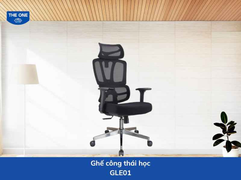 ghe-cong-thai-hoc-gia-re-1-ghe-cong-thai-hoc-gle01-co-tua-lung-boc-vai-luoi-cao-cap-01