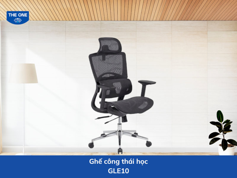 ghe-cong-thai-hoc-gia-re-10-ghe-cong-thai-hoc-gle10-ho-tro-cot-song-toi-uu-10