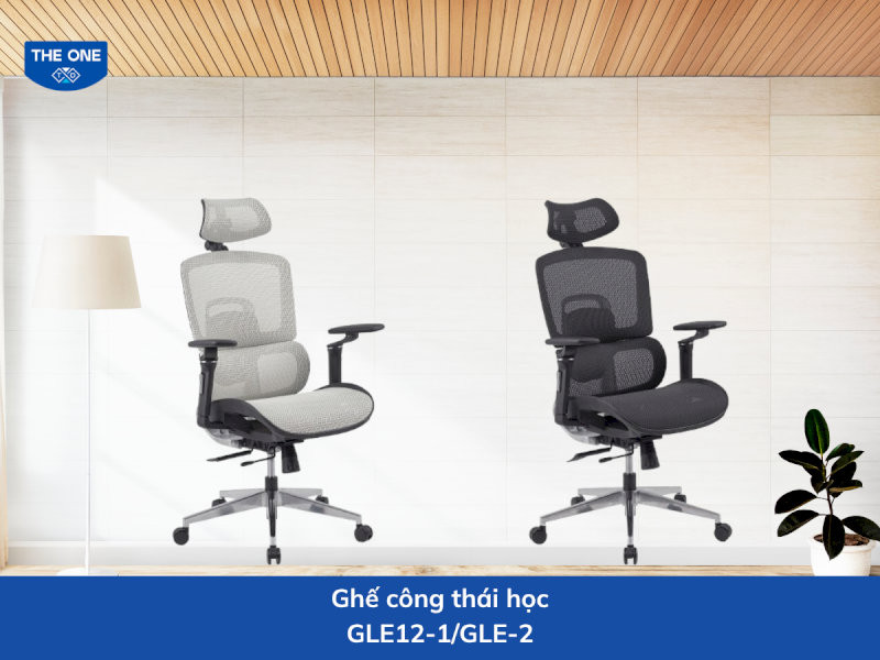 ghe-cong-thai-hoc-gia-re-13-ghe-cong-thai-hoc-gle12-1-gle12-2-ho-tro-tu-the-ngoi-chuan-13