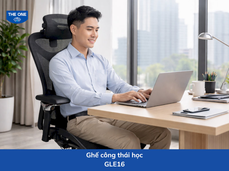 ghe-cong-thai-hoc-gia-re-14-ghe-cong-thai-hoc-gle16-ho-tro-dieu-chinh-tu-the-ngoi-linh-hoat-14