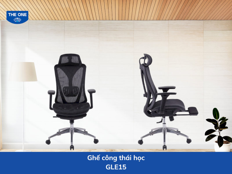 ghe-cong-thai-hoc-gia-re-17-ghe-cong-thai-hoc-gle15-phu-hop-voi-nguoi-co-voc-dang-cao-lon-17