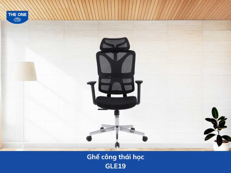 ghe-cong-thai-hoc-gia-re-19-ghe-cong-thai-hoc-gle19-gon-nhe-ben-bi-19