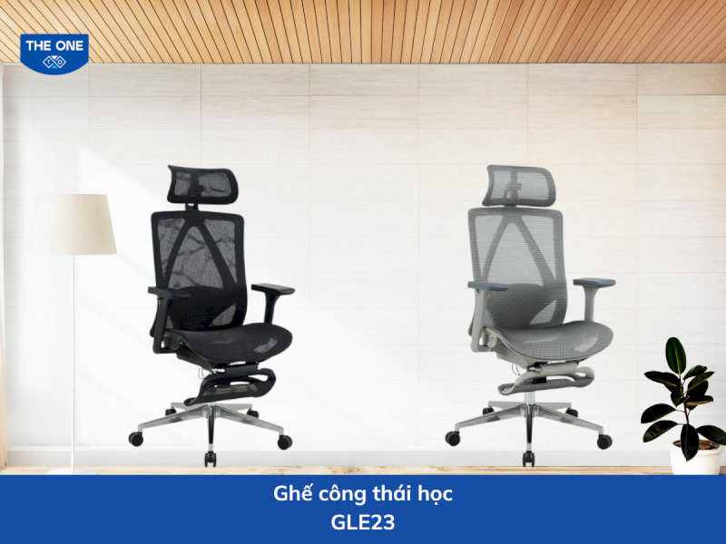 ghe-cong-thai-hoc-gia-re-23-ghe-cong-thai-hoc-gle23-phu-hop-nguoi-dau-lung-va-voc-dang-nho-23